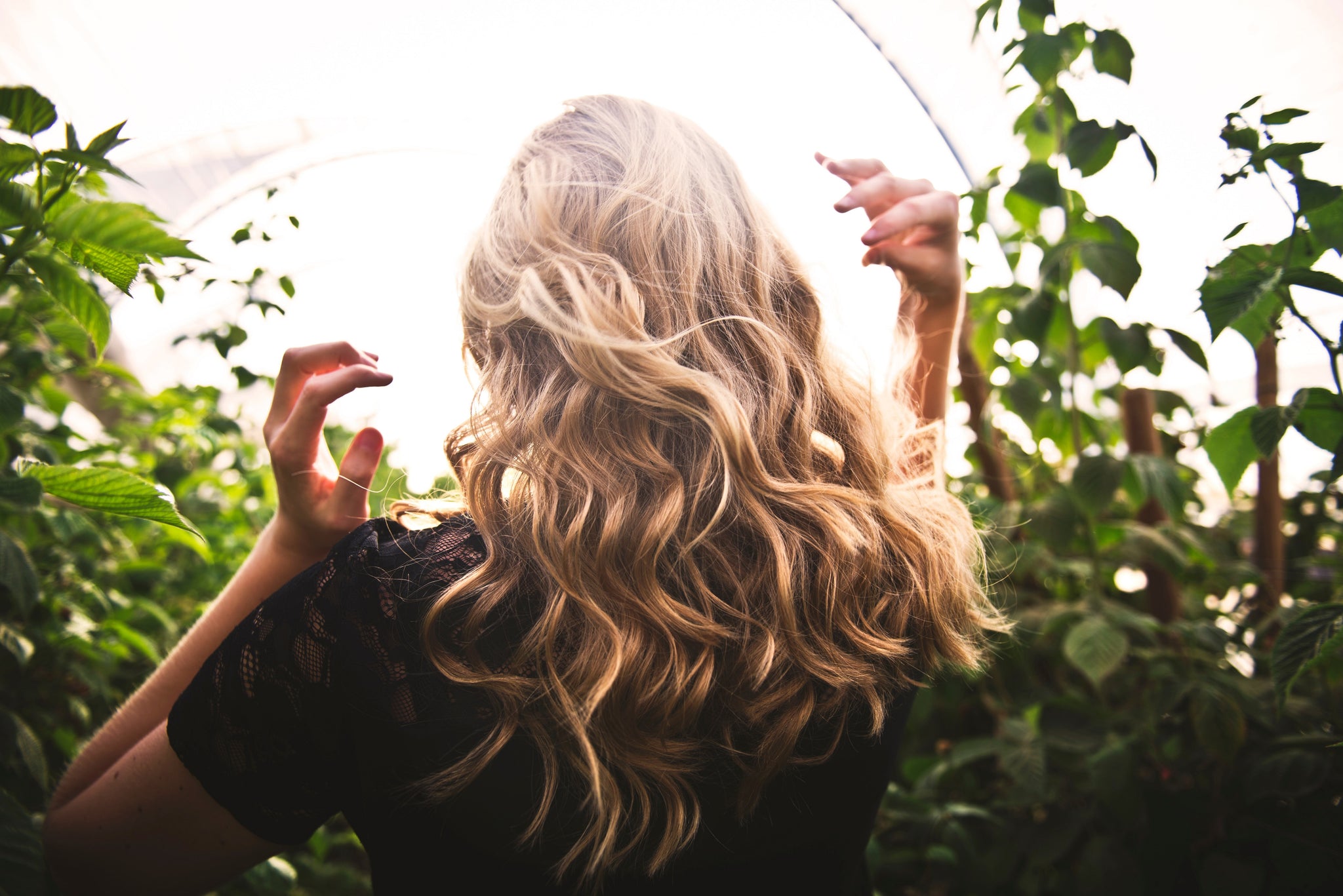 Discover the Power of Nature: The Benefits of Natural Ingredients in Hair Care
