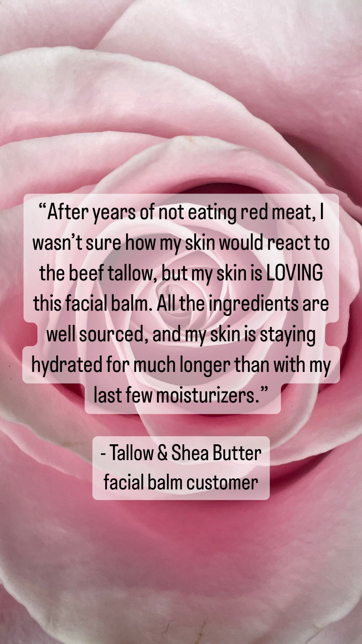 All Natural Organic 100% Grass Fed Tallow & Shea Butter Hydrating Facial Balm